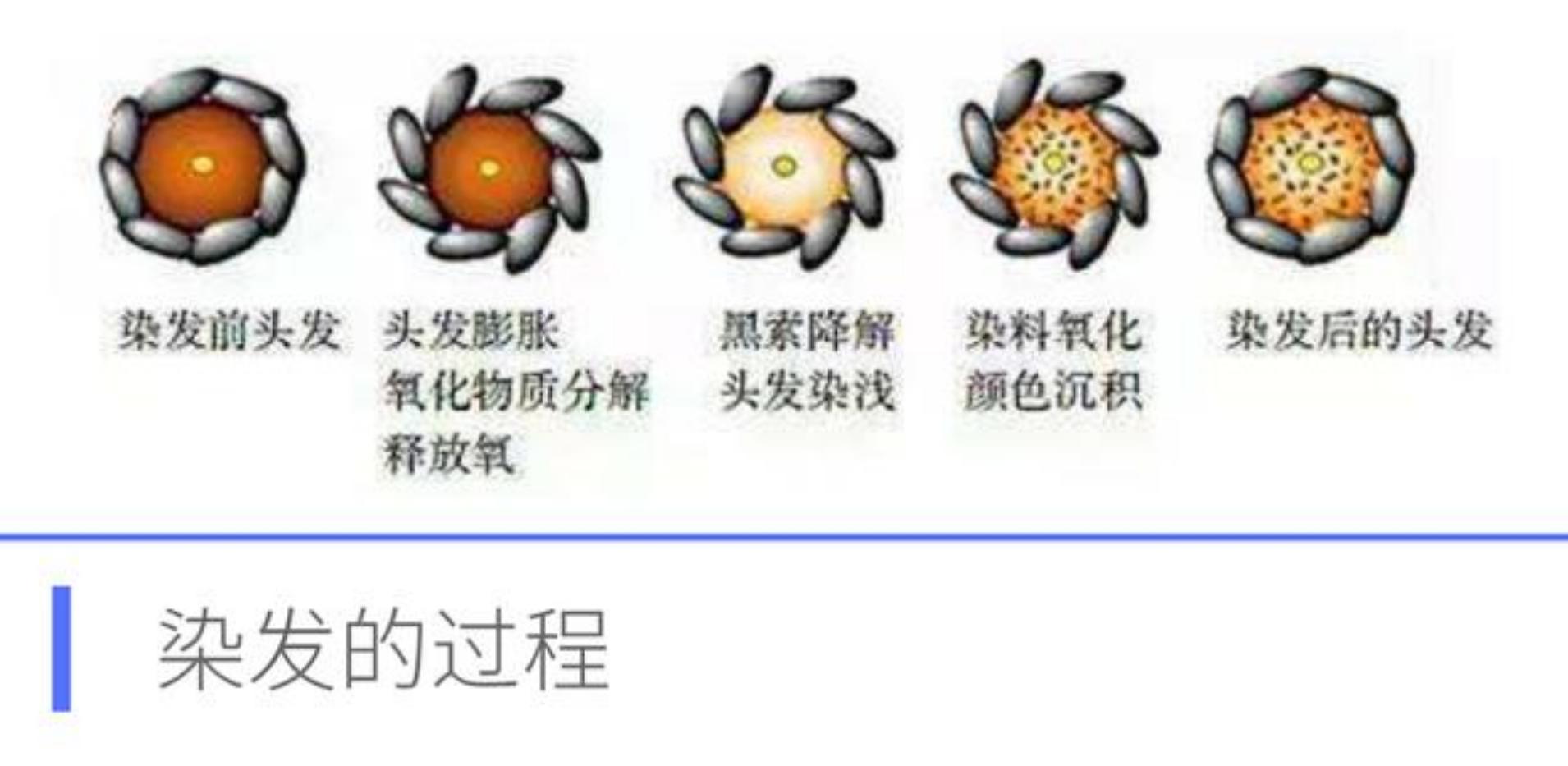 自己染发和理发店染的哪个伤头发,自己染发和去外面染有什么区别