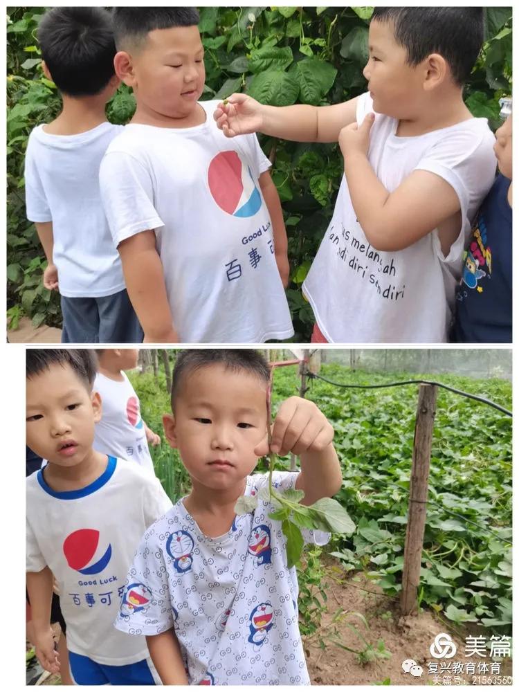 邯郸复兴区第一幼儿园环境,邯郸复兴区第一幼儿园是公立的吗