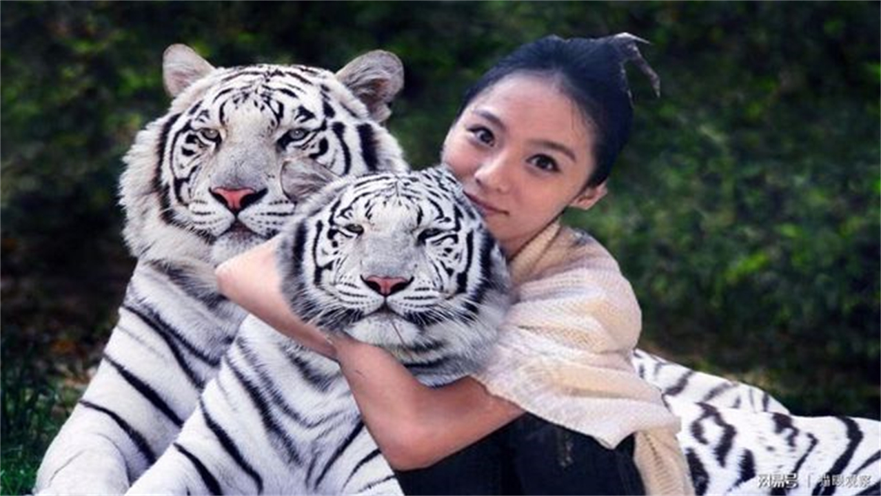 任何猫后颈被抓住猫都无法动弹吗,抓猫的后颈为什么猫不反抗