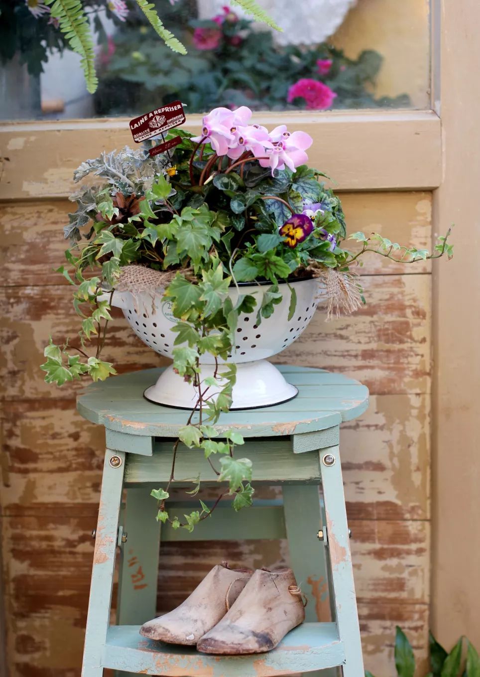 一个重度搪瓷爱好者的杂货花园