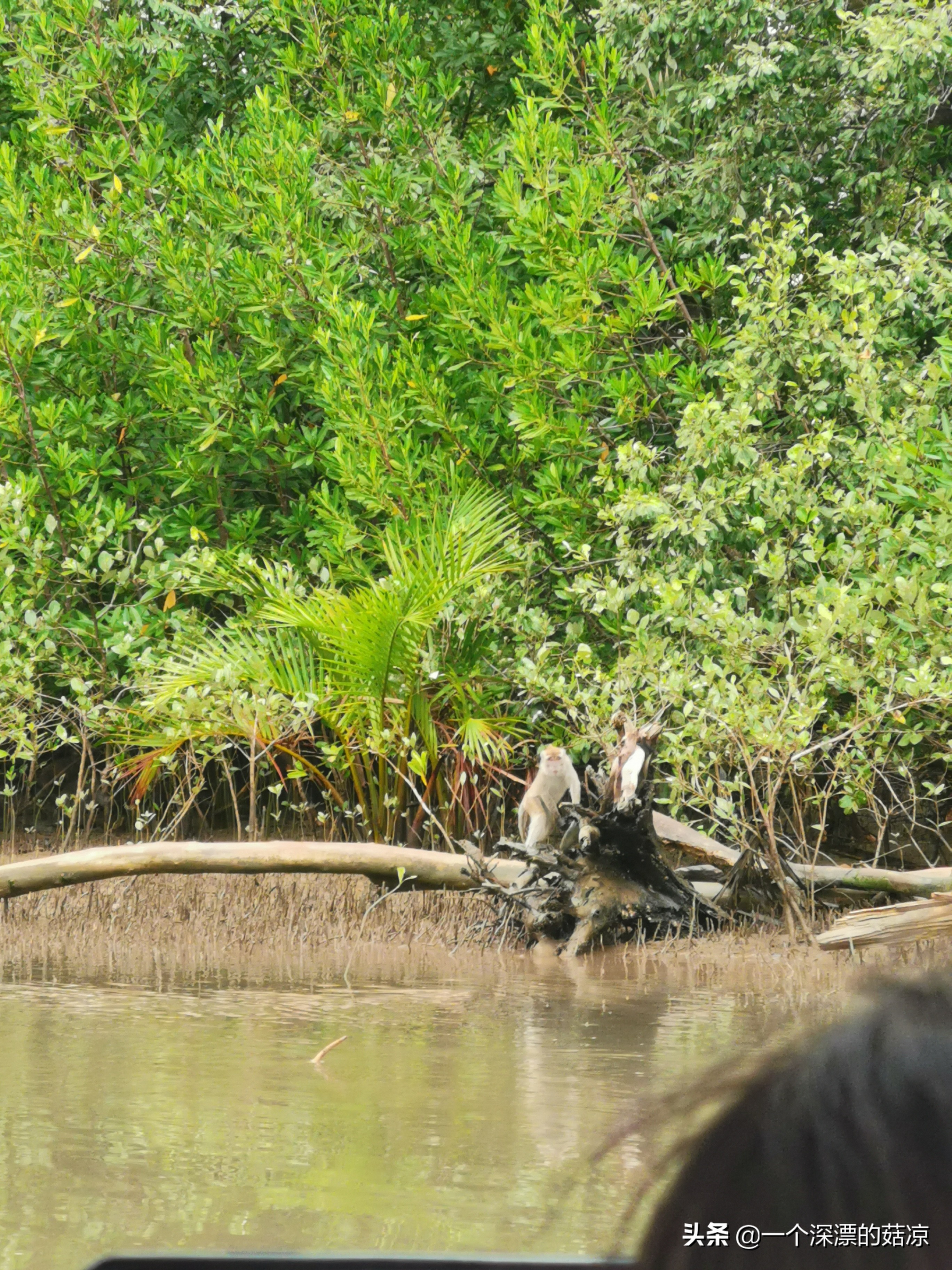 在夏天结束前去海边,在夏天结束之前去一次海边