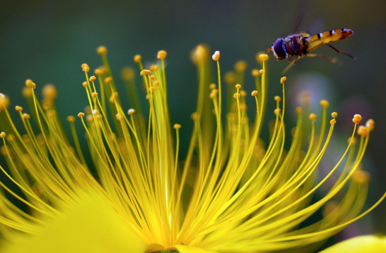 荣耀30s放大20倍拍照评测,荣耀30s测评大米