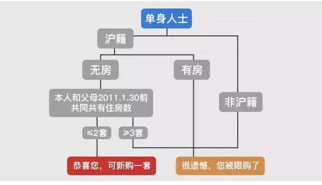 豆豆爸的投资记,豆豆爸最新视频