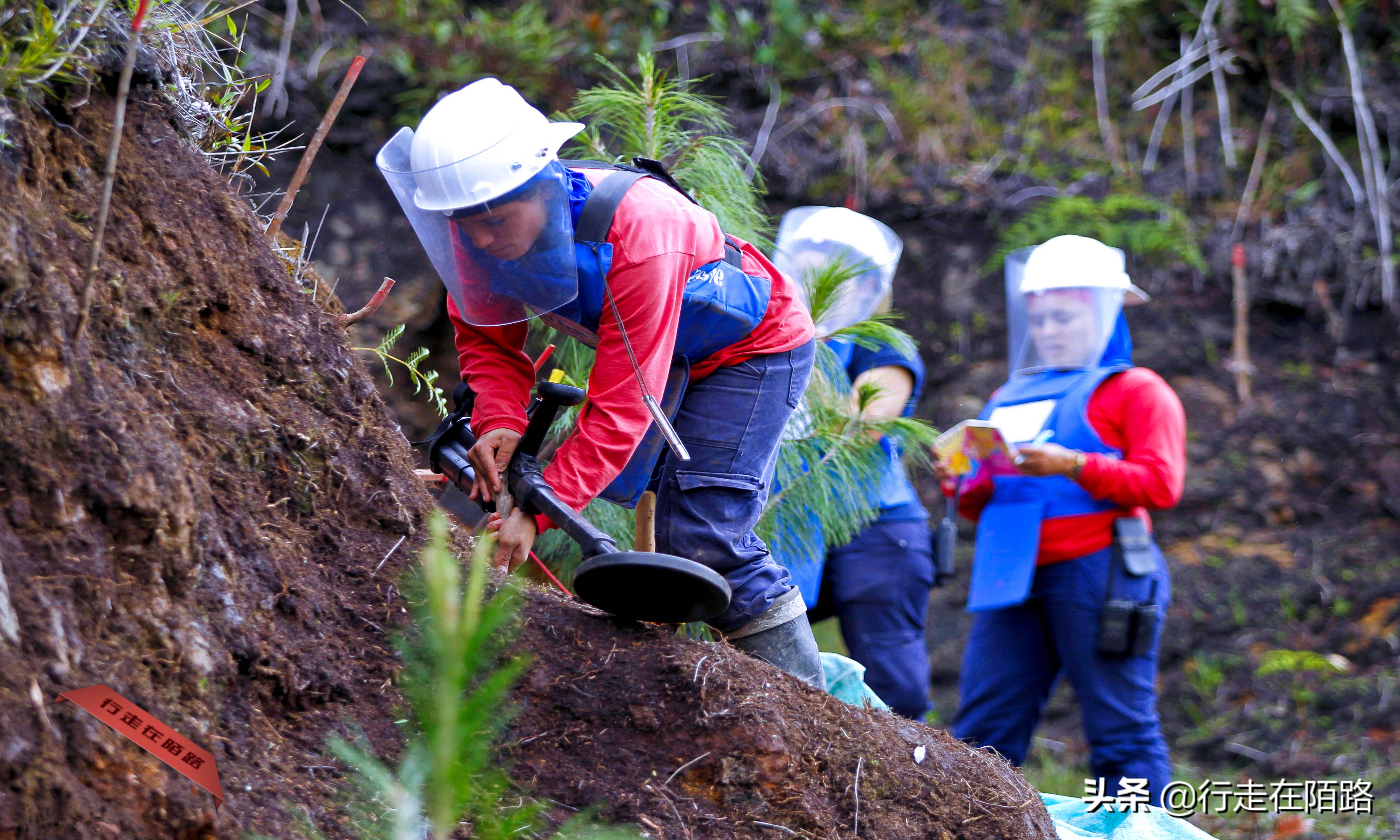 赔本战争：44艘战舰奔袭1.3万公里，耗资12亿却不是赢家