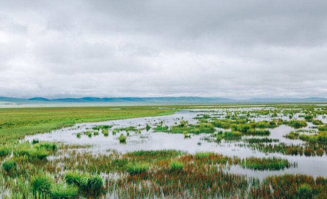 若尔盖5日游推荐,成都九寨沟黄龙若尔盖深度游