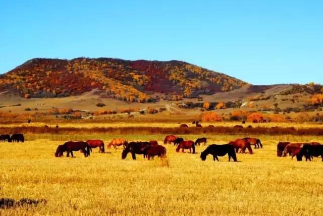 六月我们一起去旅行,九月带你去旅行