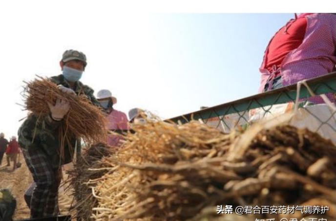 中药储存仓库的分类管理方法,中药材包装生产流程