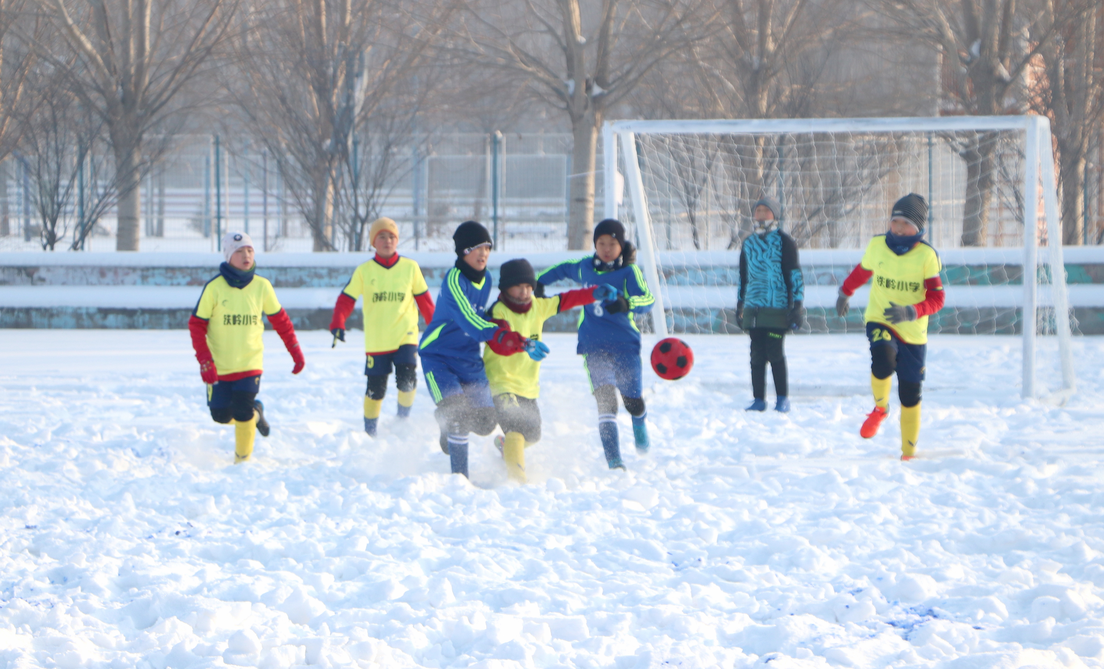 黑龙江省雪地杯足球落下帷幕,2019年哈尔滨雪地足球比赛