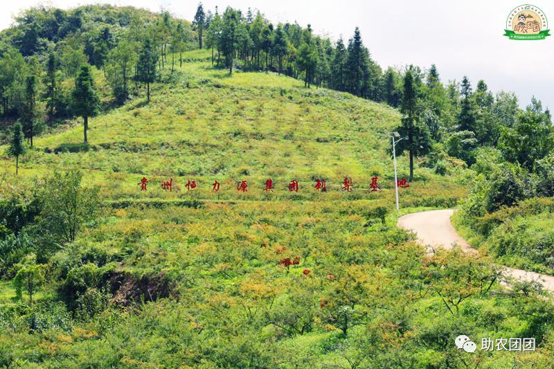 助农团团丨刺梨产业巡礼②：金秋十里沟，硕果满枝头