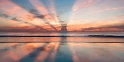 以天生我材必有用为题的作文,天生我材必有用高中作文记叙文