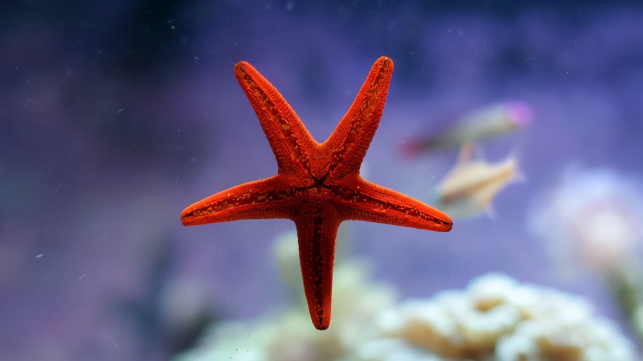 长得漂亮有内涵的星座女,修养内涵最好的星座女