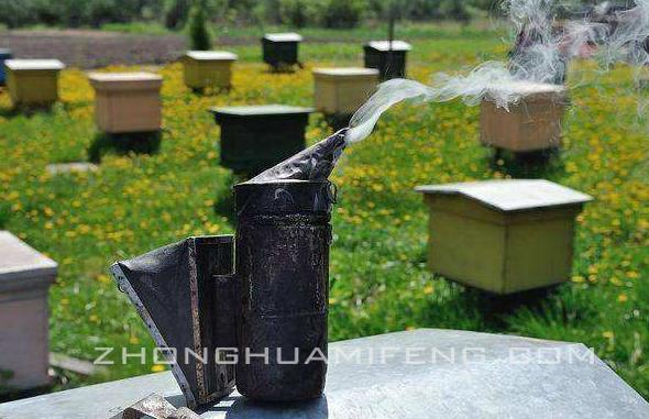 弱蜂群怎么养最好,弱势蜂群秋季如何饲喂