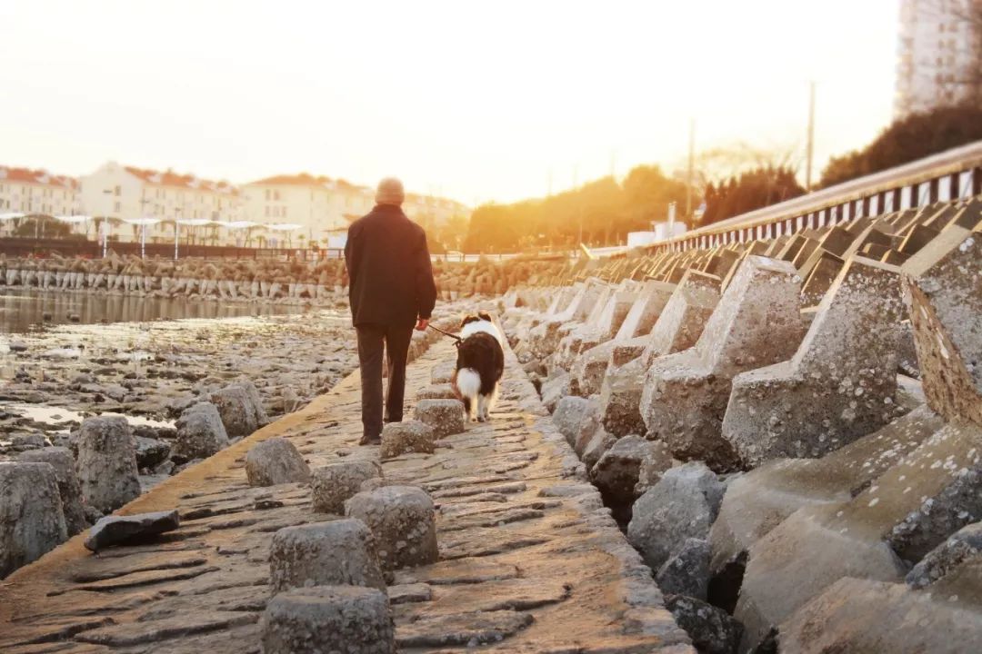 用一句诗词总结你的2020，你会用哪一句？