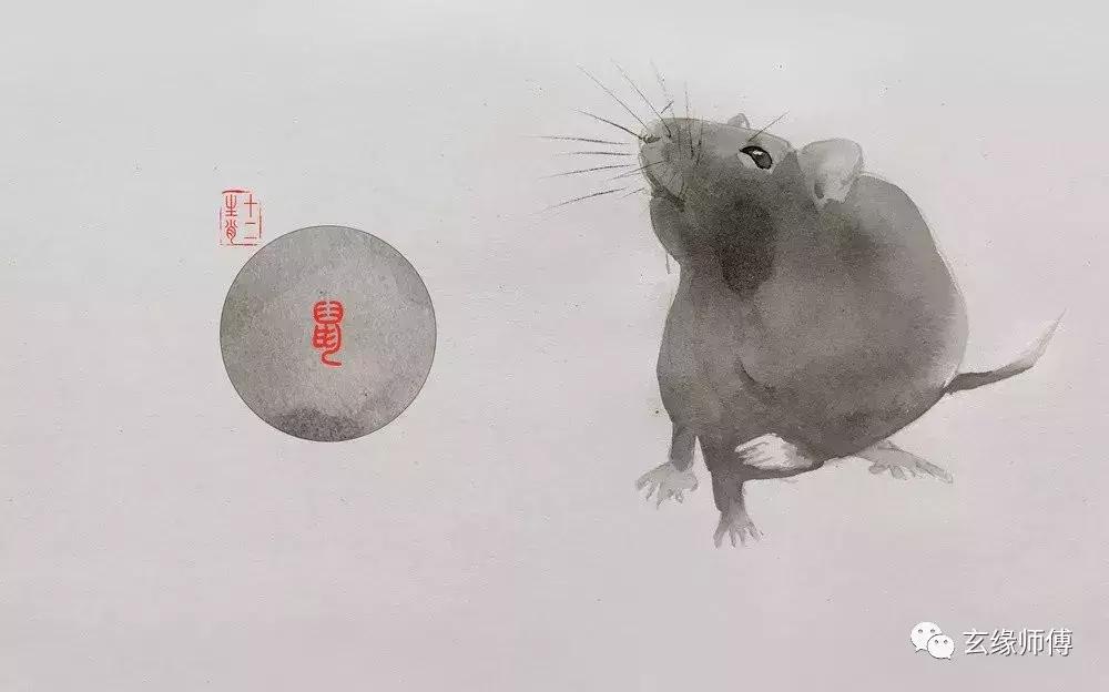 十二生肖最幸福配对表,十二生肖情侣必看生肖婚配