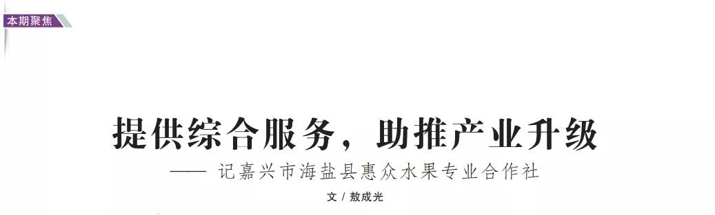提供综合服务,助推产业升级——记嘉兴市海盐县惠众水果专业合作社