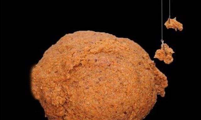 防止白条闹窝的方法,怎么避免白条底部闹窝