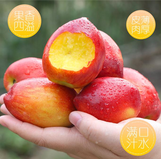 这3种水果别舍不得吃,农村人最爱吃的4种水果