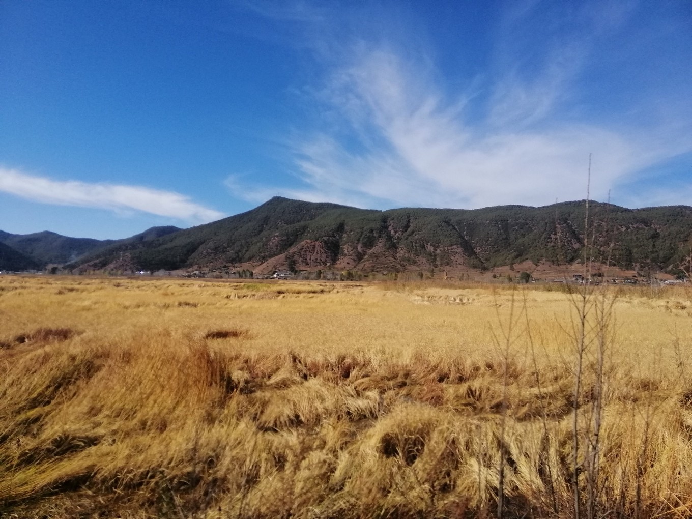 云南6日5晚自由行,云南六天五晚自由行