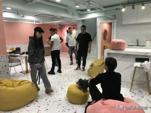 派多格临汾加盟,派多格加盟