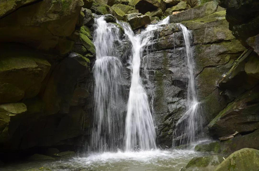 bw滤镜价格,bw滤镜哪里有正品