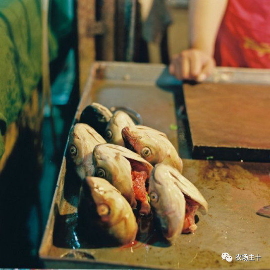 菜市场承载了太多的回忆,菜市场藏着我们生活的意义