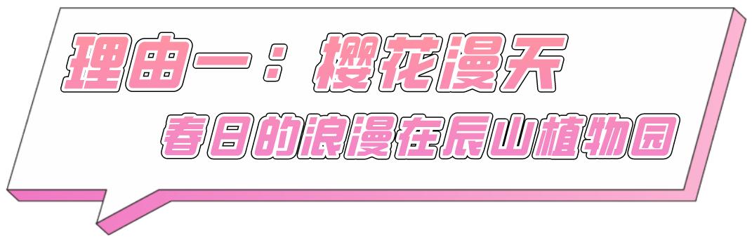 上海的热搜,最近热搜的上海