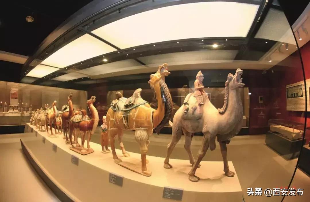 唐朝长安城东市西市的功用,唐朝长安城的东市西市