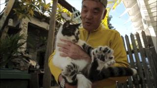 吸猫最高境界图片,吸猫最高境界完整视频