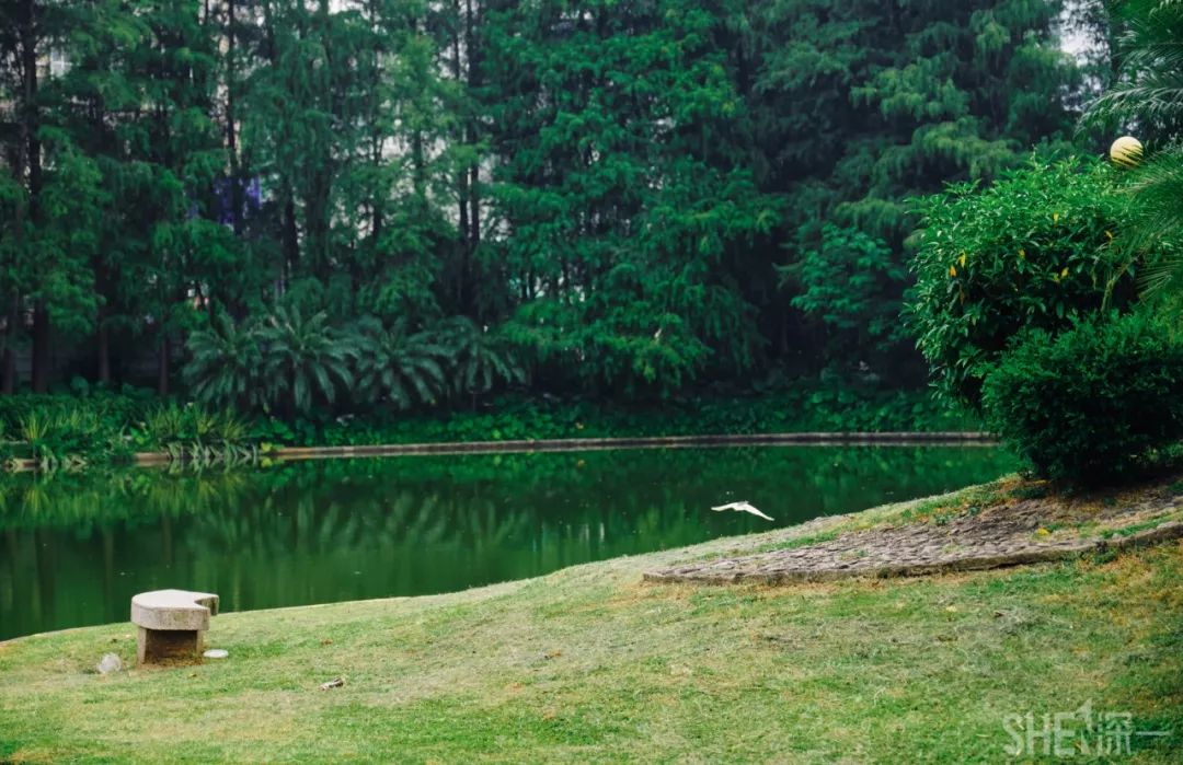 蛇口，传统与现代的并存