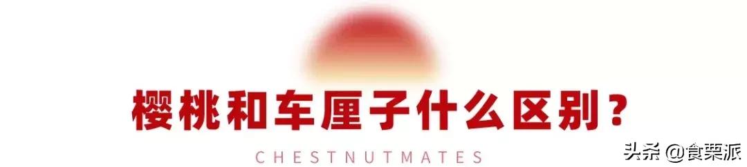 车厘子樱桃是一种东西吗,车厘子和樱桃营养价值有啥区别