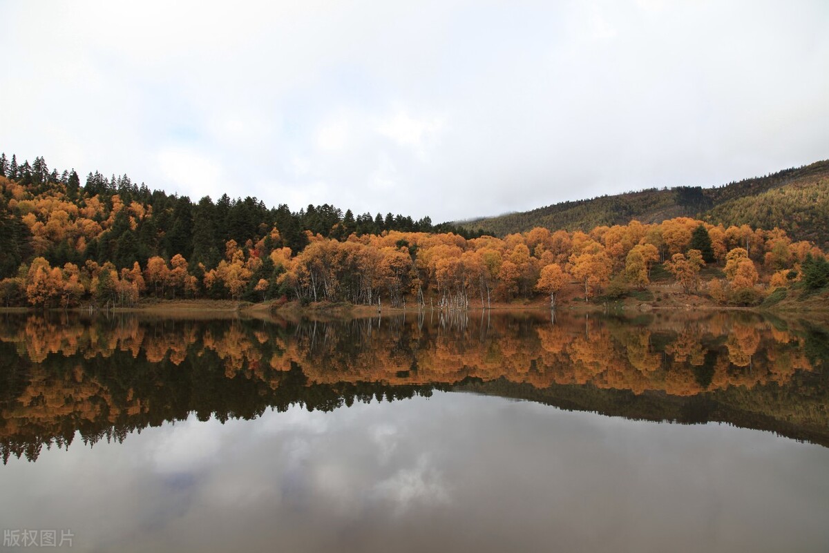 看完司藤后看哪部电视剧,看完司藤还爱看什么