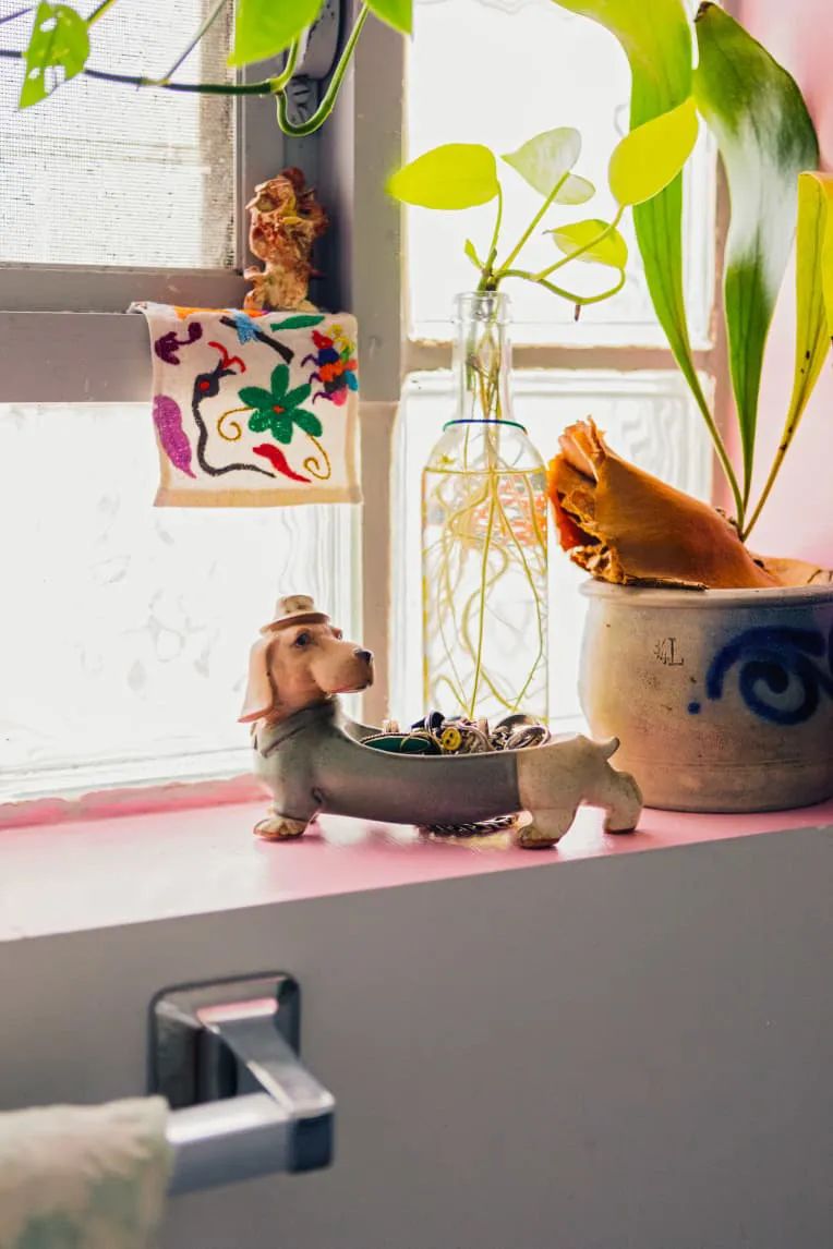 100㎡的家养了99株植物，我醉氧了…