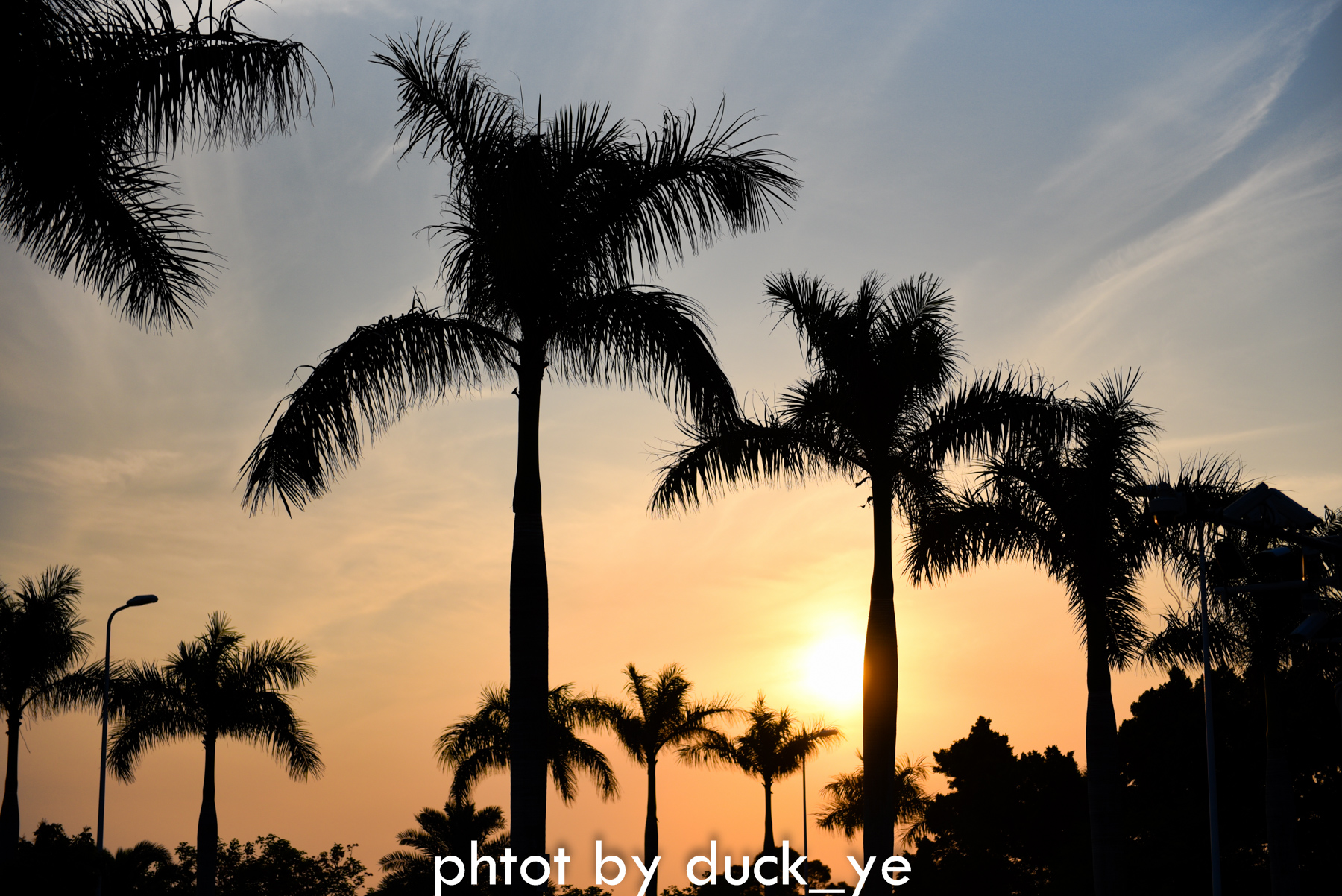 厦门旅游最好吃的是什么东西,厦门好玩好吃的夜生活