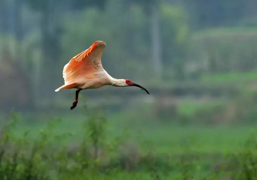 2023中国县域最美榜单,中国十大最美县域