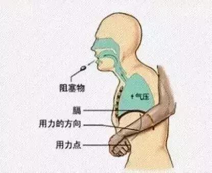噎着怎么解决,牛吃着东西噎着整不下去咋整