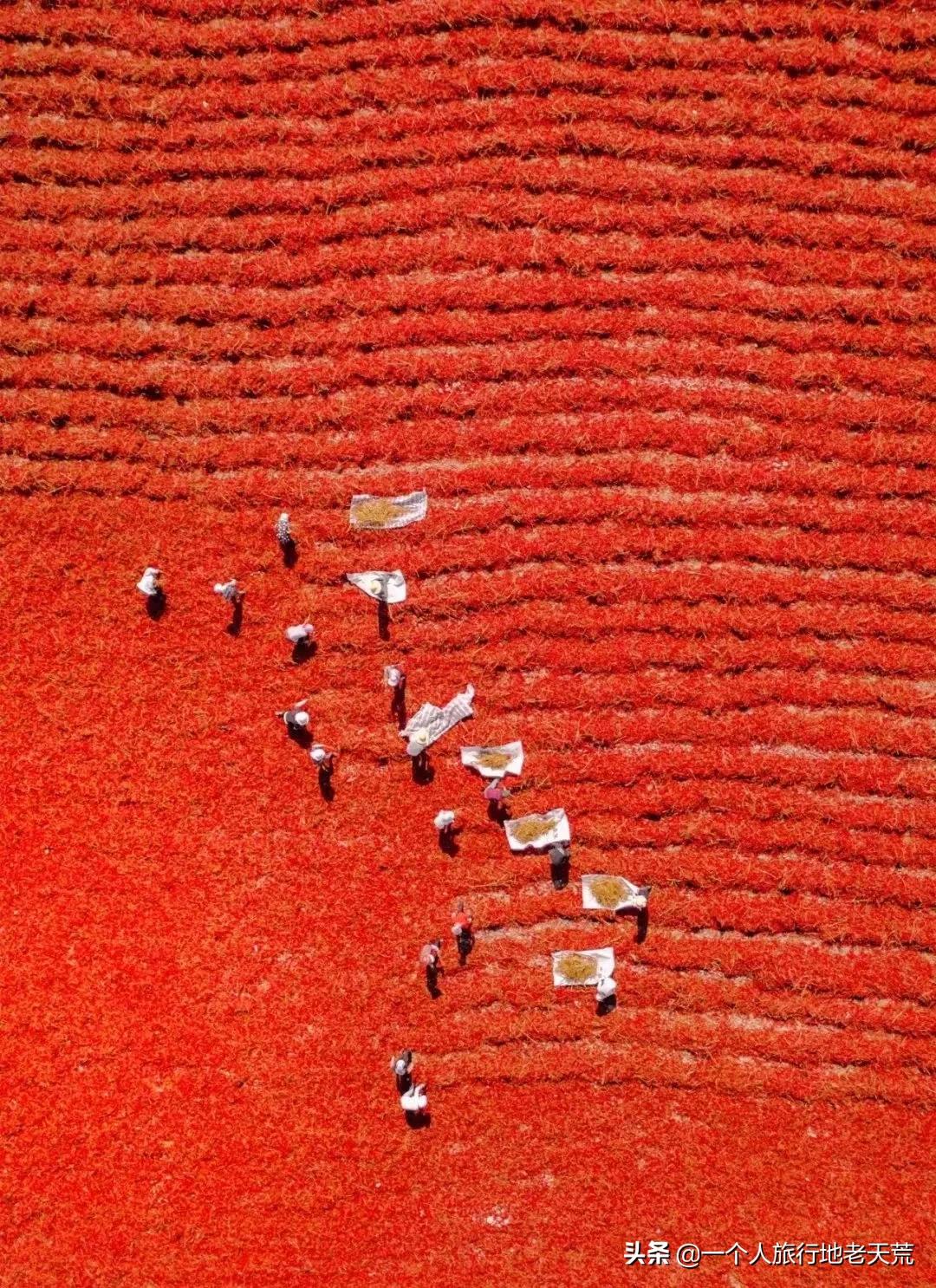 如果你不了解现实你就去看历史,如果你不了解历史就无法展望未来