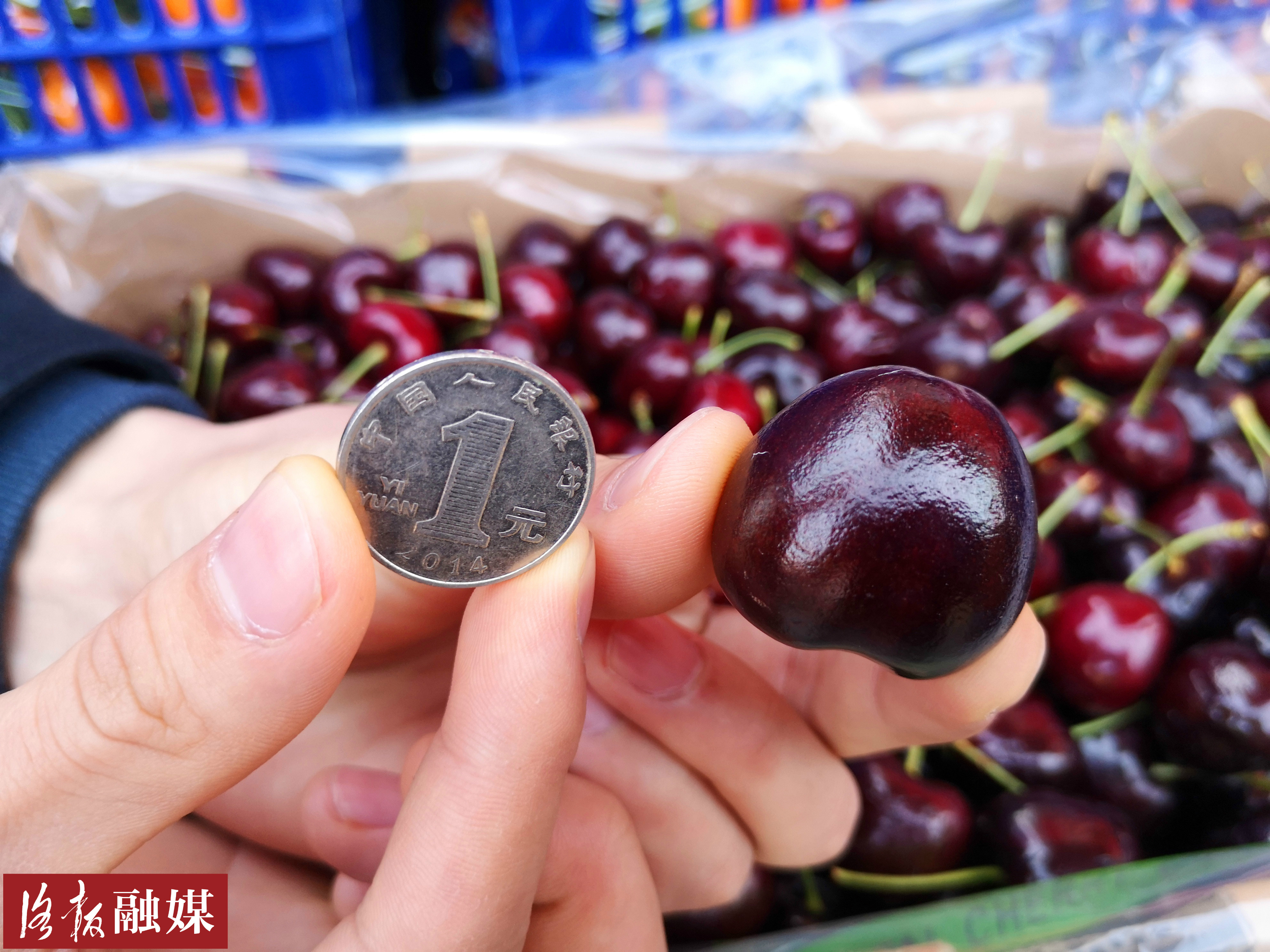 车厘子降价8块一斤,洛阳车厘子批发