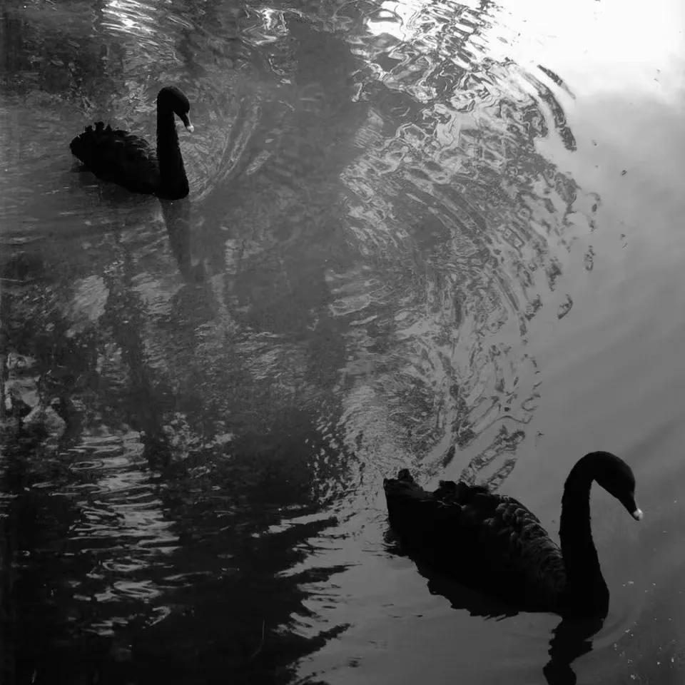 女生头像背景个签,女生头像简单有深意