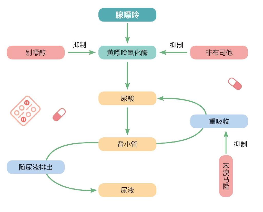 别嘌醇在痛风急性发作期能吃吗,别嘌醇痛风发作前吃吗