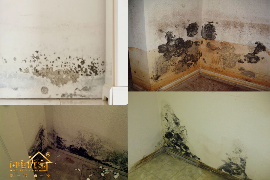 客厅踢脚线上面墙发霉是怎么回事,新装的房子踢脚线处发霉怎么回事