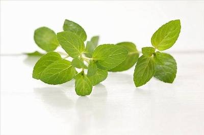 敢不敢玩把大的，把喜欢的人的名字打出来，不用拼音只怼全名