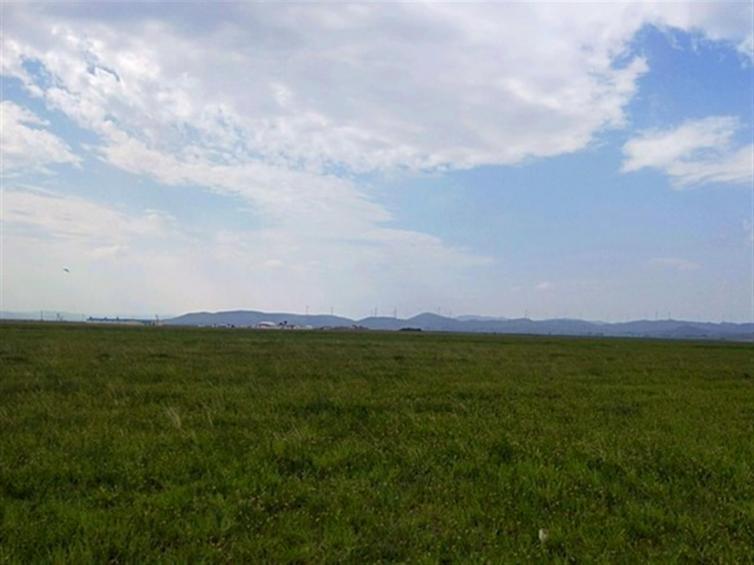 天津出发一日游景点推荐,天津近郊一日游必去景点七里海