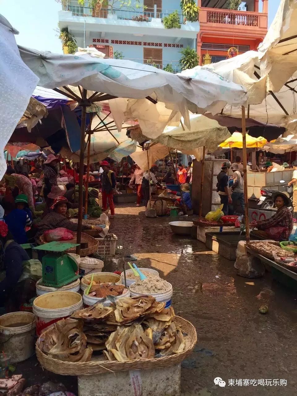 柬埔寨|土味的地方还原最真实的暹粒
