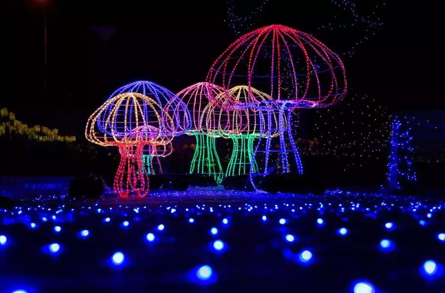 传幸福照片，赢精美礼品|灯光节醉美照片选拔正式启动