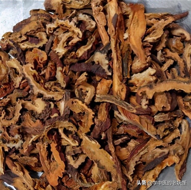 每日一药砂仁,每日一药木瓜