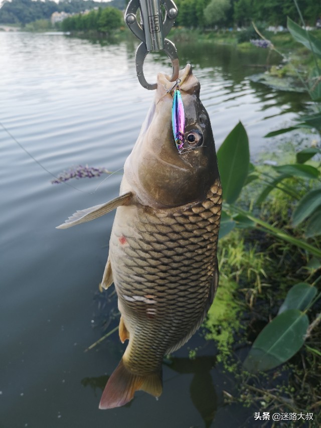 路亚翘嘴必备饵,路亚新手必备三个忠告