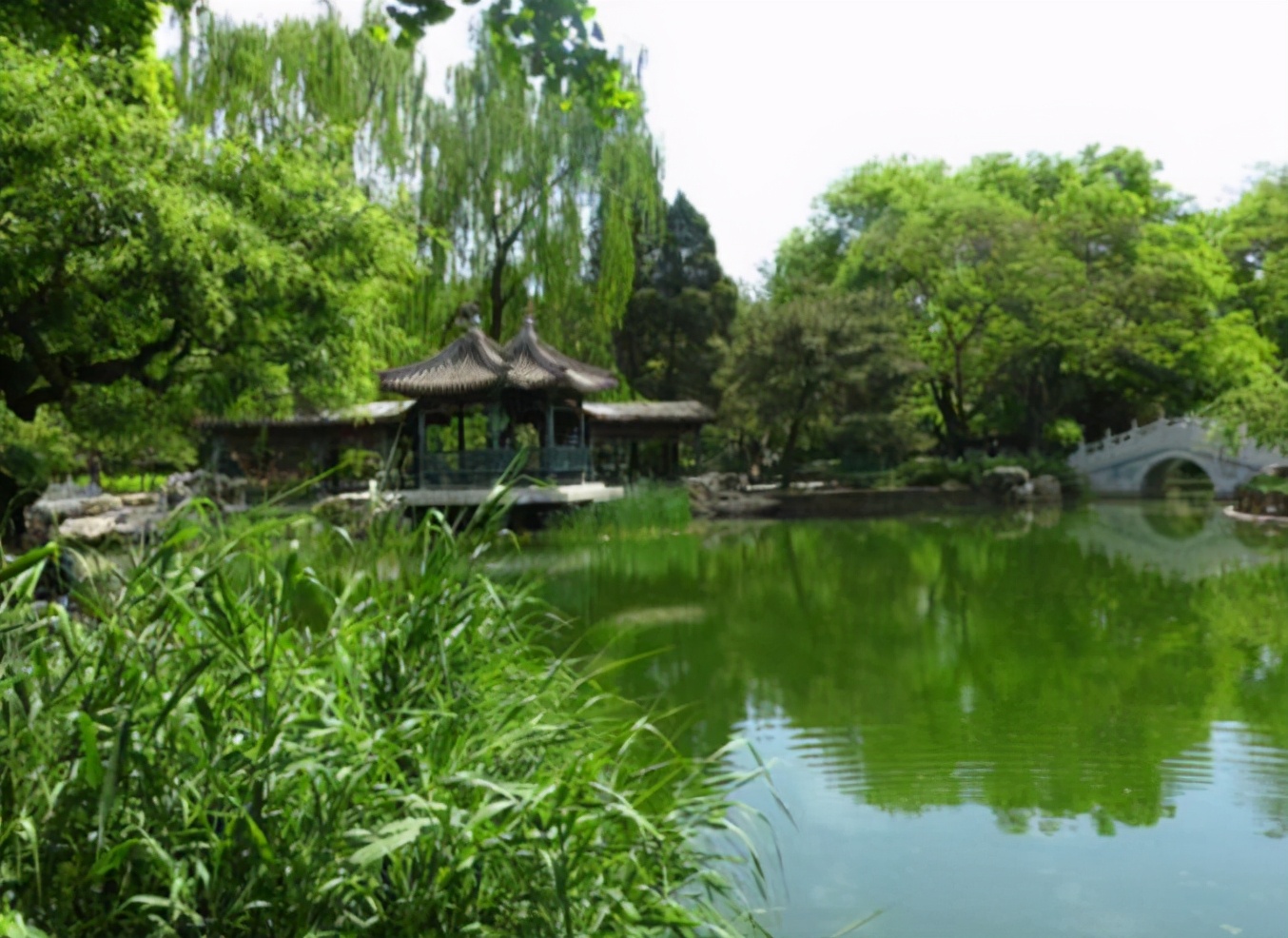 北京五大名校小学,北京顶尖私立小学