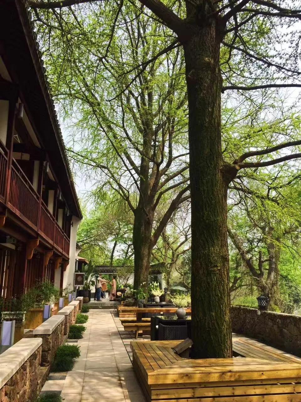 游杭州西湖览尽西湖之美,杭州西湖美景全攻略