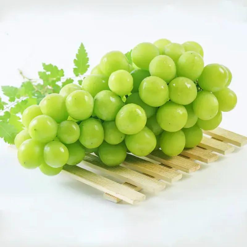 鍗佸牥瓒呭叏钄彍姘存灉,鍗佸牥鏂伴矞姘存灉