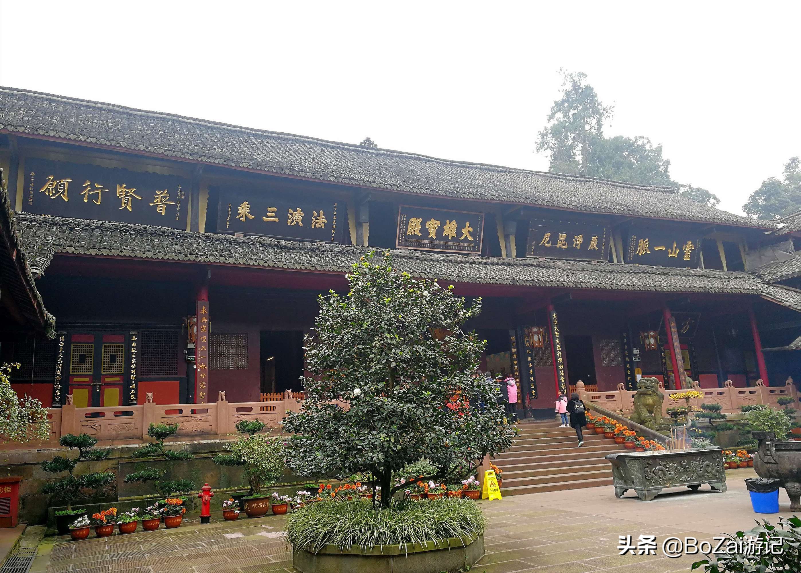 四川峨眉山景区怎么游玩最好,到峨眉山旅游哪家好玩点的多